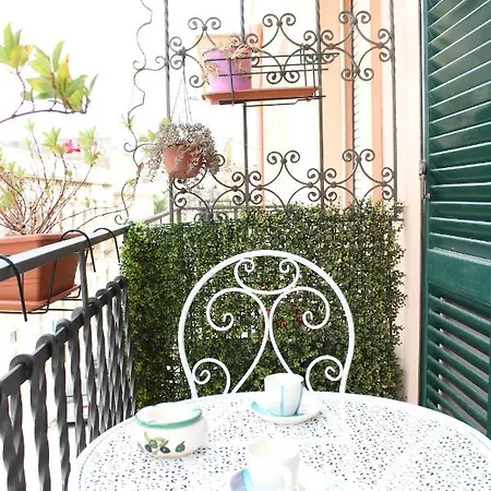 Camelia * Brindisi